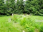 1288 County Road 3 - Vegetable Patch