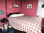 298 Anne Street - Master Bedroom