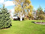 351 County Road 20 - Landscaped Yard
