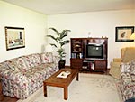 56 Joyce Crescent - Bright Living Room
