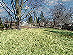 71 Wright Ave - Nice Yard