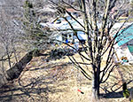 71 Wright Ave - Swing in Rear Yard