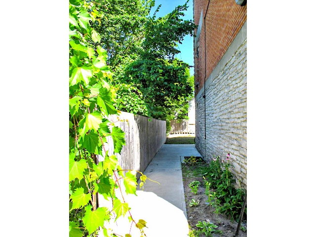 10 Patterson Street #206 - Path to Back