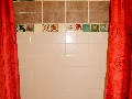 1288 County Road 3 - Tiled Shower