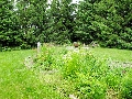 1288 County Road 3 - Vegetable Patch