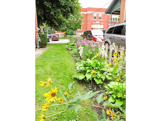 143 Ann Street - Lovely Perennial Garden