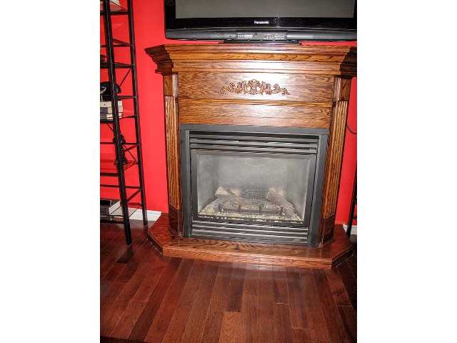 56 Alexander Street - Fireplace in Family Room
