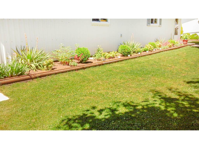 583 Mitchell Road - Perennial Bed