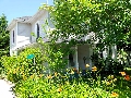 6 Ryerson Street - Lillies In Bloom