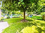 11 Woodland Acres - Shady Yard