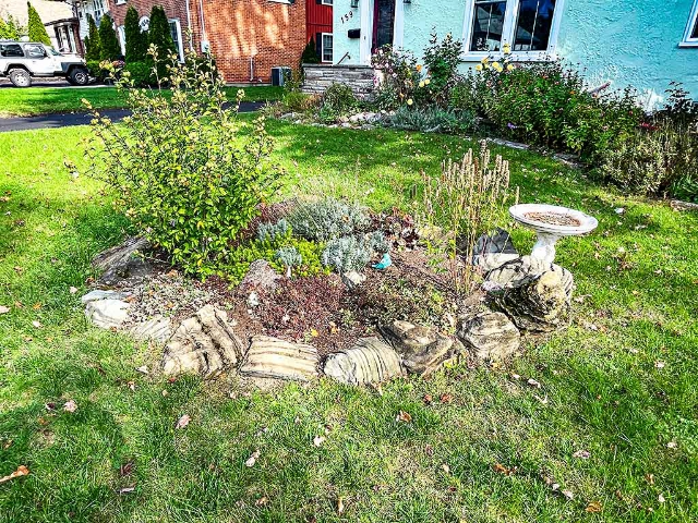 159 Bleecker Avenue - Rock Garden