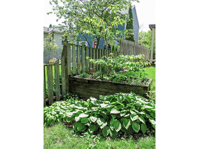 191 Charles Street - Raised Bed