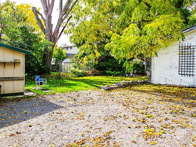 32 Hillside Street - Back Yard 