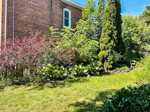 32 Hillside Street - Side Garden B