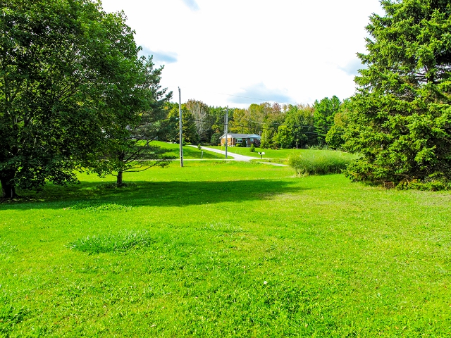 368  Beatty Road - Front Lawn