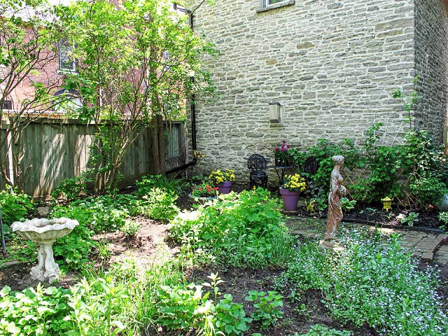 56 Alexander Street - Garden