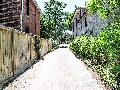 56 Alexander Street - Urban Laneway_