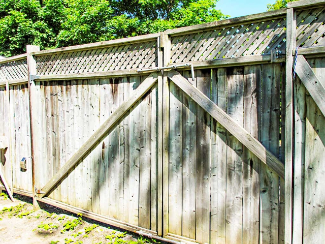 65 Geddes Street - Big Doors To Yard