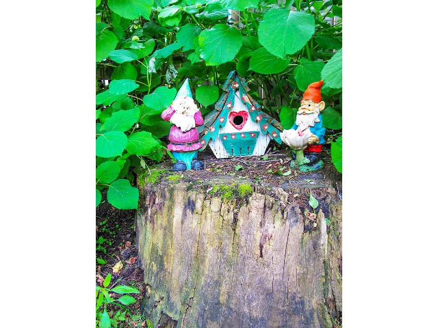 65 Geddes Street - Hidden Gnomes