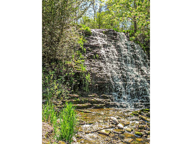 782 Highway 49 -  Waterfall