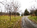 782 Highway 49 - Laneway Entrance