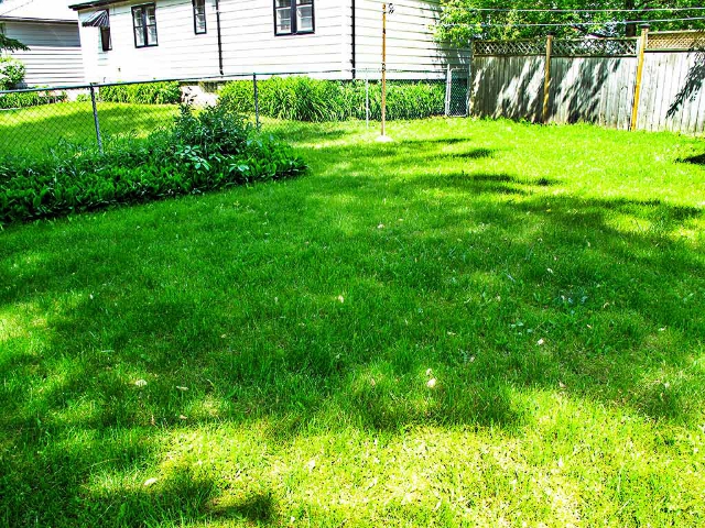 8 Hastings Drive - Back Yard 2